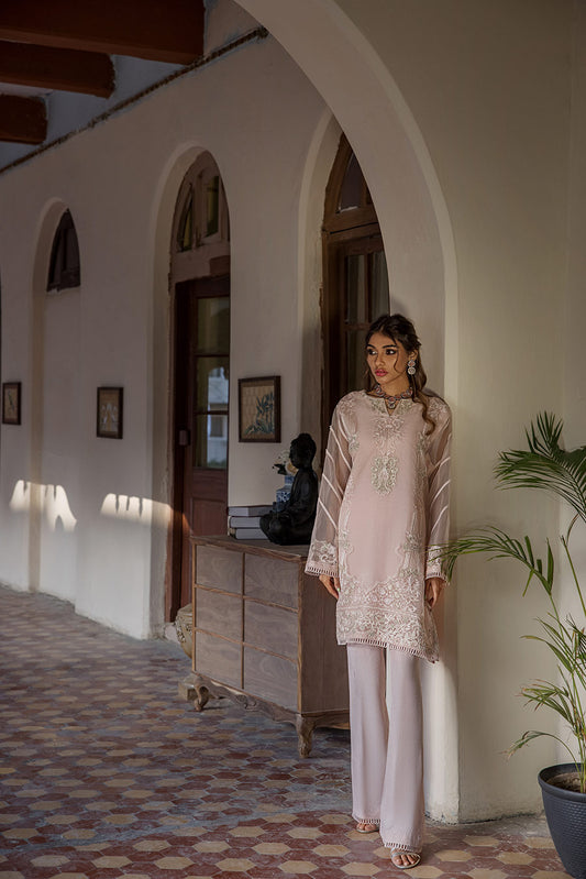 Light Pink Embroidered Organza Tunic (OA-7644)